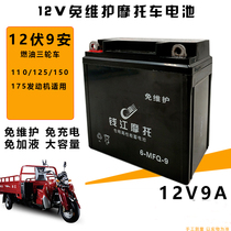 Applicable Qianjiang Motorcycle 125 Jubilee King 150-18A Qian Jianglong Battery Battery