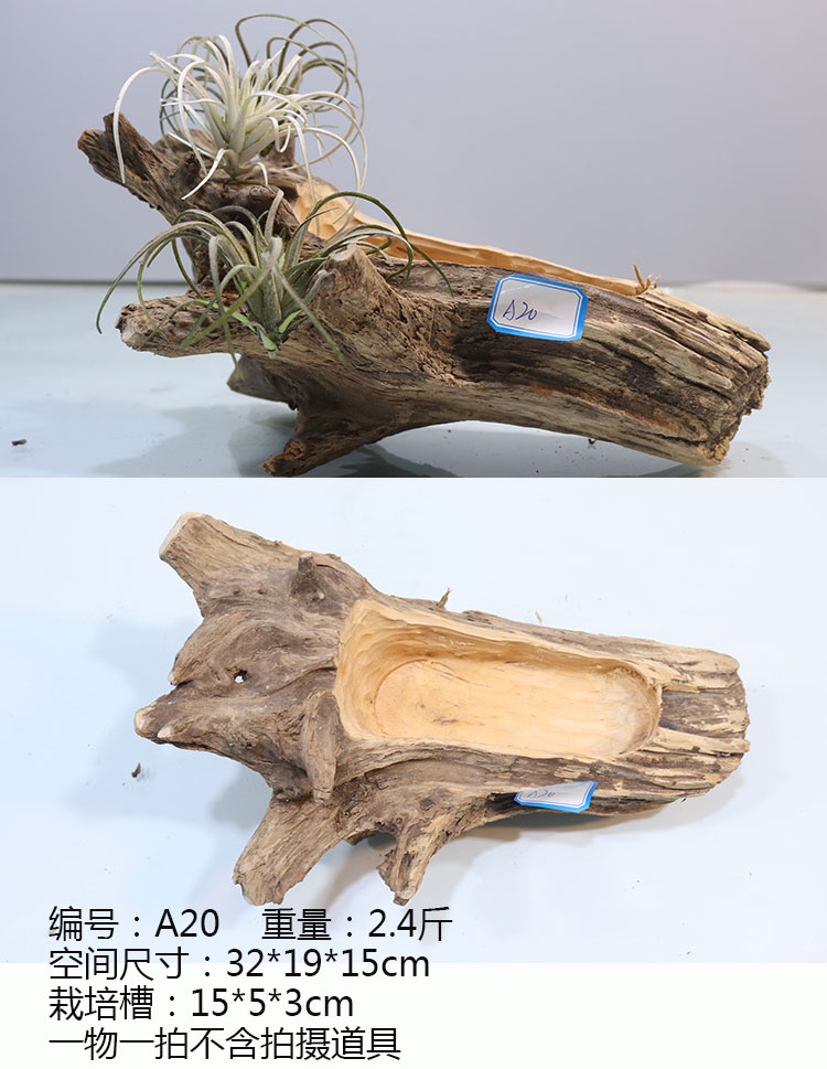 多肉创意木头花盆复古树根绿萝创意贵州省盆田园器枯木小创意肉肉