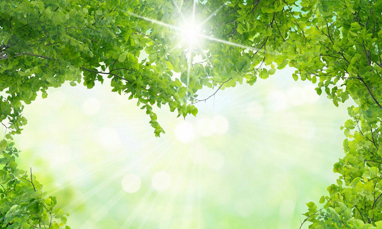 窗外明媚的夏日阳光让人不免开始期待一场 summer getaway!