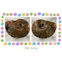 Bi Jincai Natural Canadian Spotted Stones