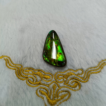 Bi Jincai Natural Canadian Spotted Gems Orange Gold Green Color Resin Film Film Naked Stone Snail Fossils