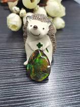 Bi Jincai natural Canadian spotted gems with single-sided bare stone can be inlaid with stained snail fossils