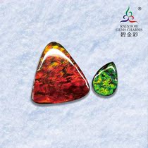 Bi Jincai Natural Spotted Gem Naked Stone Resin Film Covered Ancient Fossils