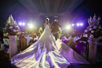 Wedding wedding wedding photography and a pat on the go.