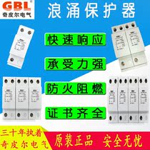 Level 1 surge surge lightning protection protection 220V380V household arrester 2P4P lightning protection power module