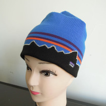 Patagonia patagonia hat Japan limited small logo cursive wool cold hat