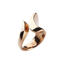 fieldnotes) (Italy) MONICA CASTIGLIONI Ring-PINO Series