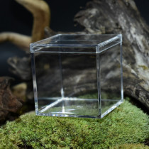Spider mantis jumping spider feeding box Transparent high transparent box Square feeding box Acrylic box Climbing box Climbing pet reptile box