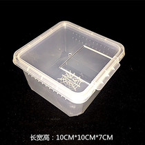 Square silkworm treasure observation feeding box Kun reptile snail Scorpion palace guard box Turtle snake spider horn baby amphibious box