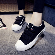 2021 Autumn New Joker Velcro canvas shoes womens shoes summer Korean students autumn shoes casual white cloth shoes