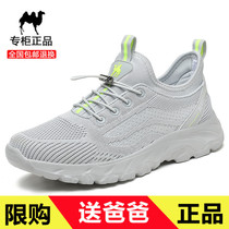 American Foreign Trade mens shoes outdoor hiking shoes elderly shoes non-slip Breathable walking middle-aged father Mountain shoes
