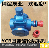 Fine Friend High Temperature Electric YCB1 0 0 6 Circular Arc Gear Oil Pump Lubrication Pump Oil Pump Gear Oil Pump Whole Machine