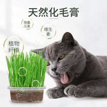 Cat grass seed hydroponic box Catnip cat snacks Hair spheroidizing hair cream Cat grass potted seed planting box set