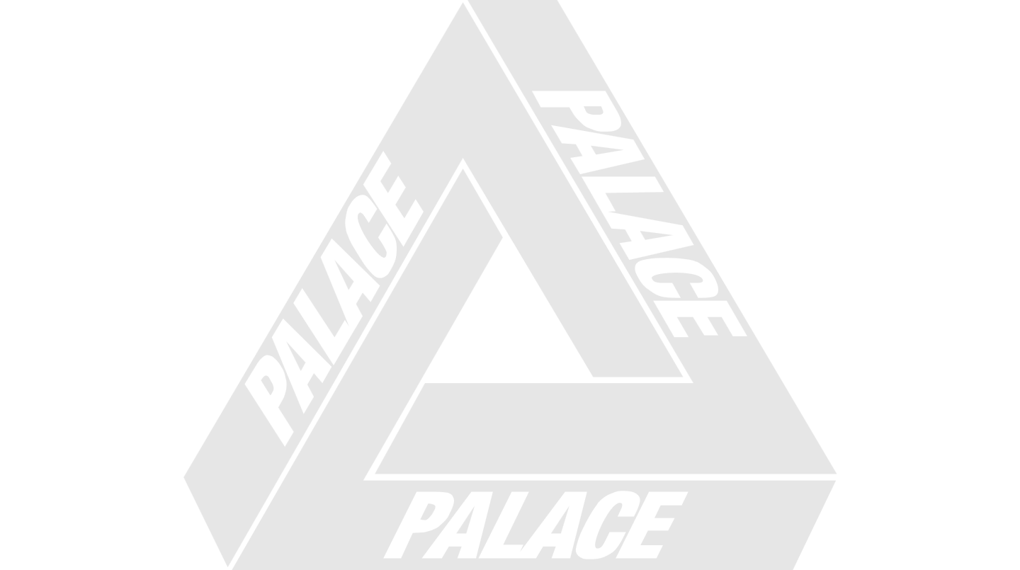 17ss palace skeledon 金骷髅 帽衫 卫衣三角logo 秋