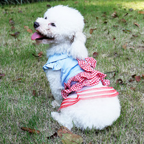 doglemi pooch dresses dresses small dogs summer thin princess dress teddy bib bear bombBeauty kitty clothes