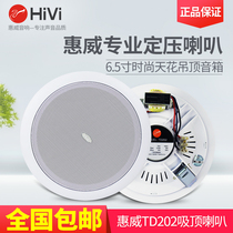 Hivi Huiwei TD202 Top Horn Set Ceiling Sound Ceiling Sound Ceiling Speaker Power Amplifier Package