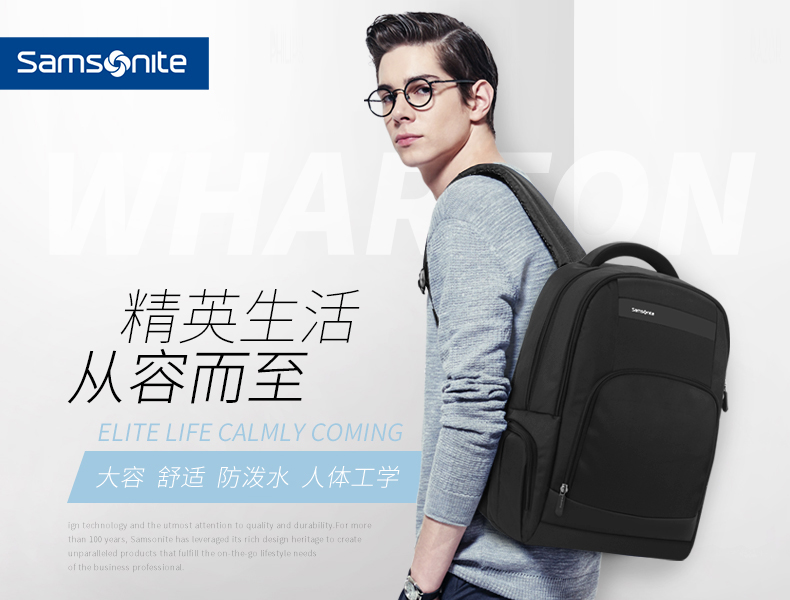 рюкзак Samsonite 36b10 рюкзак Samsonite 36b10