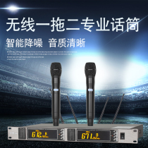 TVEI-300 meters super long distance one drag two wireless performance microphone school playground microphone