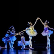 Ya is the star is also the sun Dance suit Little swan dance tutu puff yarn dress suspender girls ballet performance