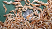 Dried shrimp