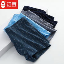 Red bean breathable 4 strips of explosive cotton panties mens boxer briefs tide cotton cotton mid-rise print mens panties