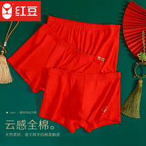 Red bean hot stamping Hongyun 3 honmei year panties mens pure cotton flat horn red panties gilded cotton mens underwear