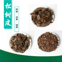 Full 18 fermented pine bark pine orchid special matrix Dendrobium candidum planting pavement pad pot bottom medium