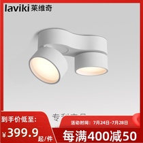 Surface mounted downlight Round astigmatism led ceiling light Double-headed bucket light Bean bile spot light Free opening without main light lighting