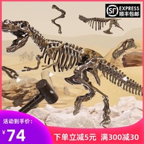 Dinosaur fossil Archaeological excavation toy Blind box Ore dig treasure Rough stone set Dig gem skeleton Mars pig children