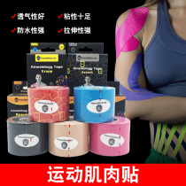 Professional intramuscular adhesive tape elastic waterproof muscle patch strain rehabilitation bandage muscle effect patch muscle can soreness patch