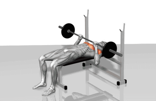 三头肌 【滚轮支点俯卧撑】 目标肌:上肢肌肉群 腰腹等核心部位