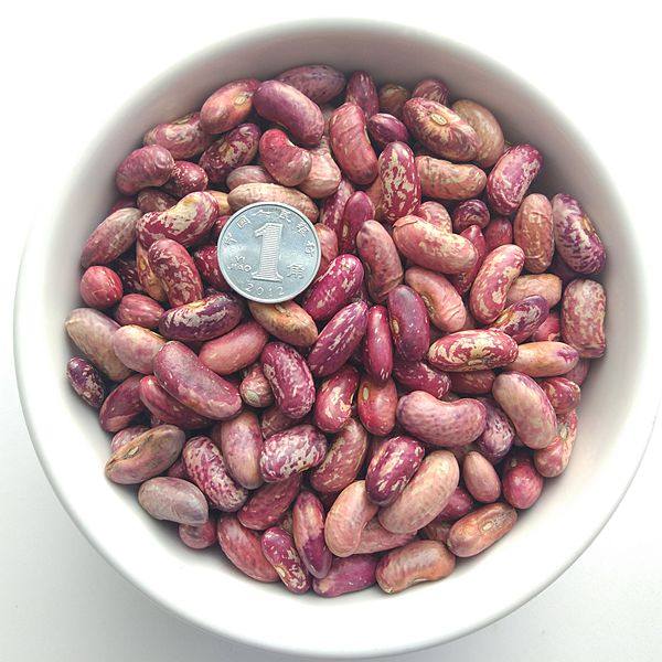 农家花芸豆 红花芸豆 大粒红腰豆花豆饭豆 磨豆浆专用杂粮250g