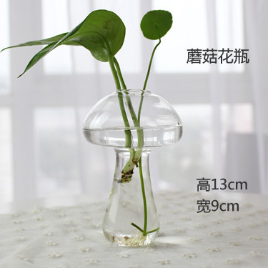 Creative home water culture glass vase transparent flower table decoration indoor gardening office table decoration Creative home water culture glass vase transparent flower table decoration indoor gardening office table decoration