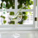 Creative home water culture glass vase transparent flower table decoration indoor gardening office table decoration Creative home water culture glass vase transparent flower table decoration indoor gardening office table decoration