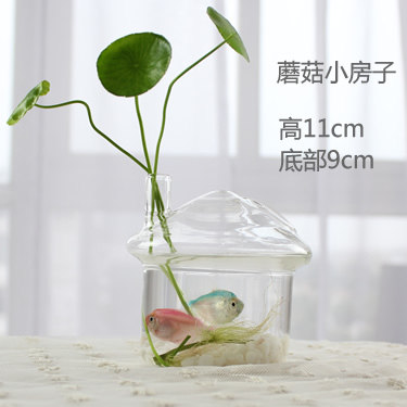Creative home water culture glass vase transparent flower table decoration indoor gardening office table decoration Creative home water culture glass vase transparent flower table decoration indoor gardening office table decoration