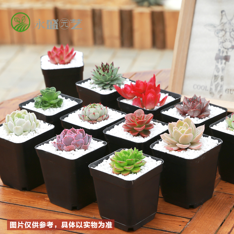 对租来的房子不满意?便宜的商品能帮你搭配高感觉 对租来的房子不满意?便宜的商品能帮你搭配高感觉
