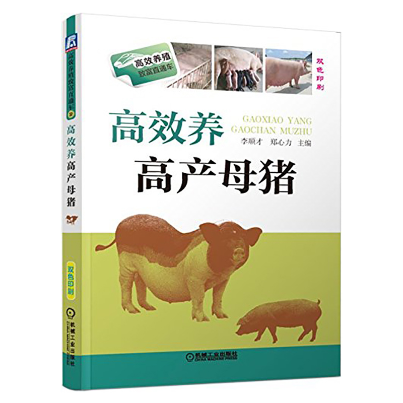正版邮 高效养高产母猪 视频教学高效养猪与猪病防治书籍 现代实用养猪技术大全猪病防治诊治疗科学猪饲料配制母猪养殖技术大全