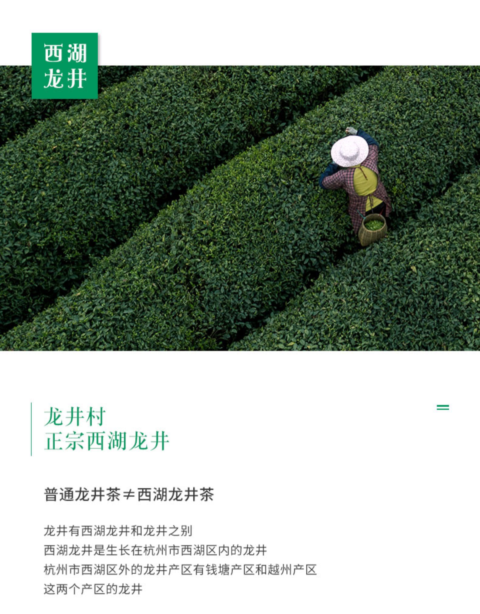 西湖龙井龙井村正宗西湖龙井普通龙井茶≠西湖龙井茶龙井有西湖龙井和龙井之别西湖龙井是生长在杭州市西湖区内的龙井杭州市西湖区外的龙井产区有钱塘产区和越州产区这两个产区的龙井-推好价 | 品质生活 精选好价