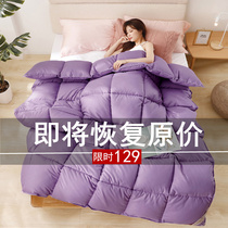 Five star hotel with duvet quilted by 95 white goose down winter quilt core thickened warm single spring and autumn quilt double bedding