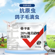 Chinese animal and veterinary medicine pigeon parrot pigeon medicine dimeinidazole premix dove meat respiratory tract pigeon Trichomonas pigeon medicine