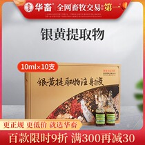 China animal veterinary medicine yinhuang extract injection in the veterinary zhu niu yang dog foot-and-mouth disease Qingre anti-viral cough fever