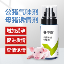 Hua animal and animal boar lure odor agent reserve sow with inducer hormone replacement boar estrus