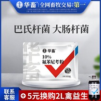 Chinese animal veterinary drug florfenicol powder veterinary antibiotics respiratory disease pig cattle sheep chicken duck goose Poultry Veterinary Poultry