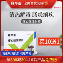 Hua Livestock Veterinary Medicine Beast With Creat Injection Pig Drug Bull Sheep Drug Dog Cat Enteritis Piglet White Dysentery Fever and Withdrawal Fever