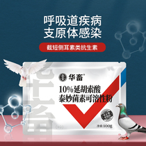Chinese animal carrier pigeons with tyamectin racing pigeons eyes tears red and swollen Mycoplasma breathing pigeons common diseases