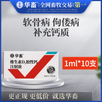 Chinese animal vitamin D2 colloidal calcium injection dog pig cattle and sheep calcium supplement rickets rickets chondrosis vitamin vitamin calcium