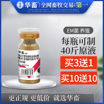 Chinese livestock breeding embacteria fermentation bed strain raw liquid embacteria powder swill straw feed feces bean dregs starter