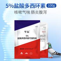 China animal pigeon with doxycycline pigeon monocular cold chlamydia tears swelling pigeons medicine common Daquan