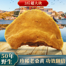 (Only 5 50-year-old wild left) Tibetan authentic mulberry and Phellinus linteus quality 1500g three jins in one piece