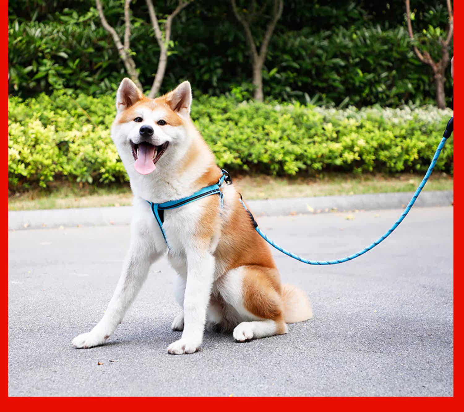 狗狗牵引绳泰迪狗链猫咪小型中型犬小狗遛狗绳胸背带宠物用品项圈_啥